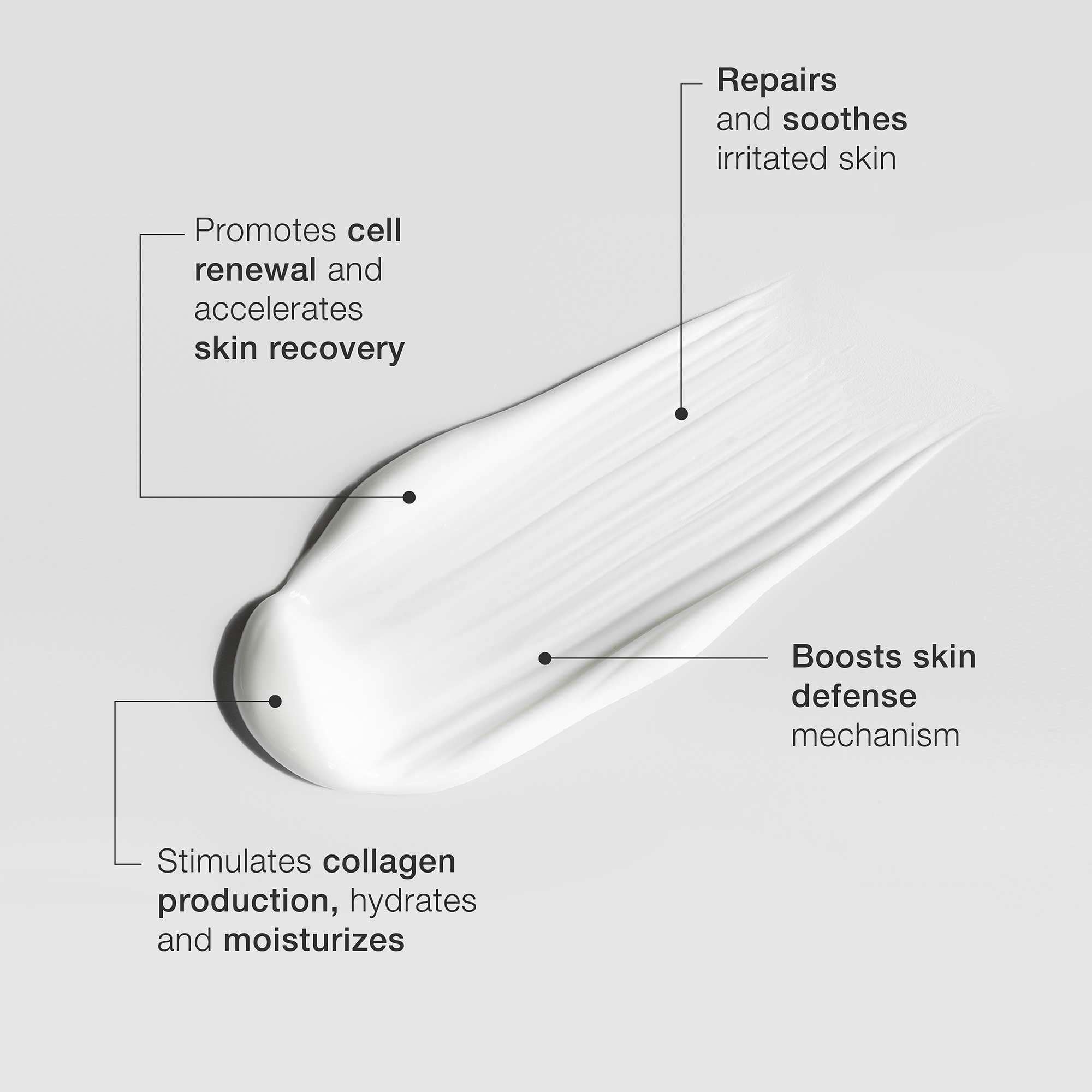 Regenerating Night Cream