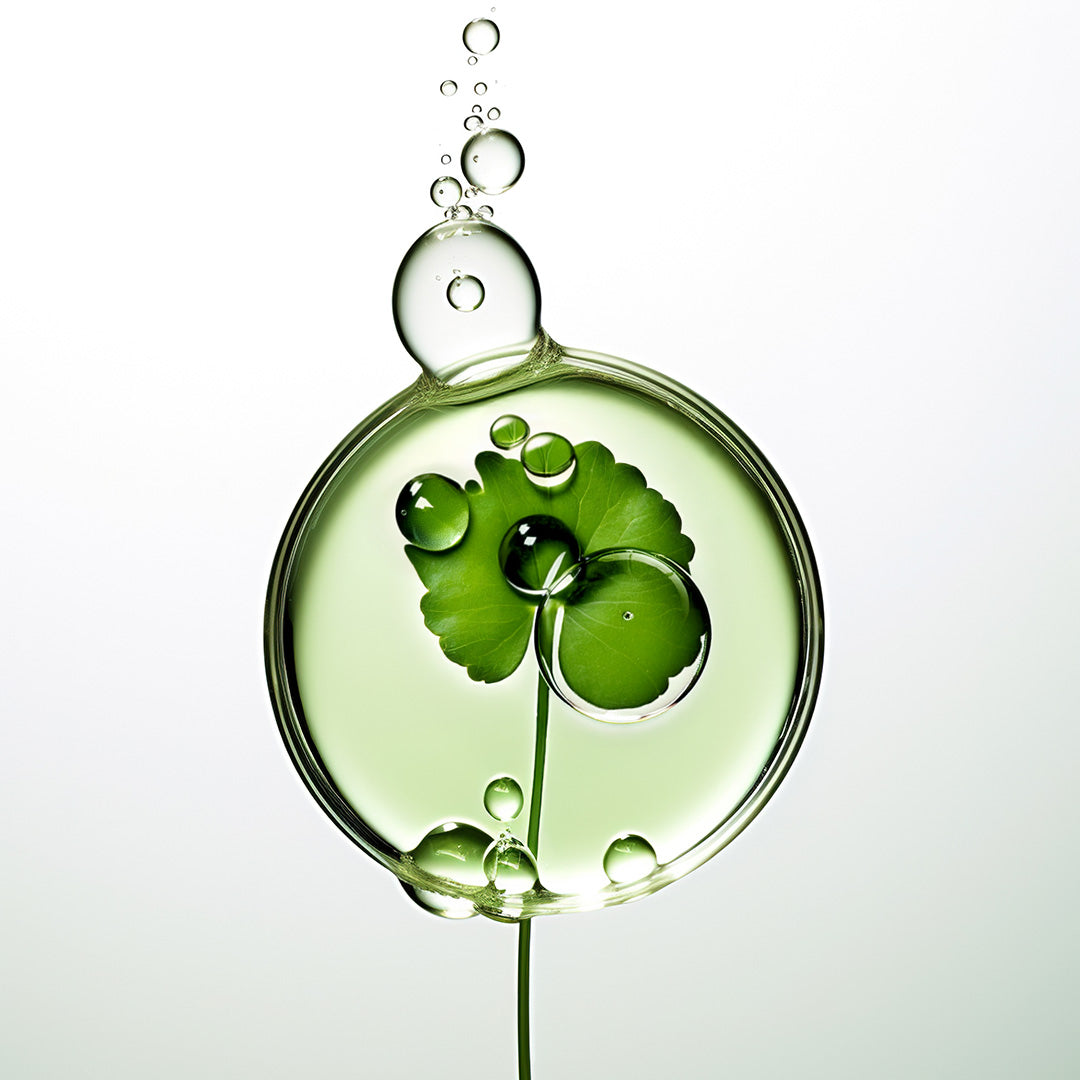 CENTELLA ASIATICA EXTRACT