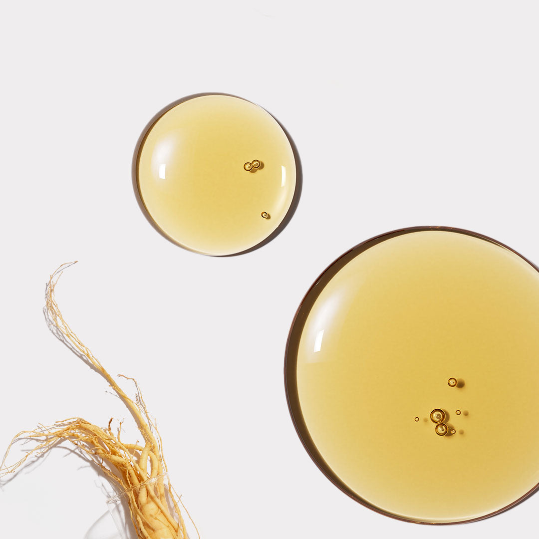 GINSENG EXTRACT 