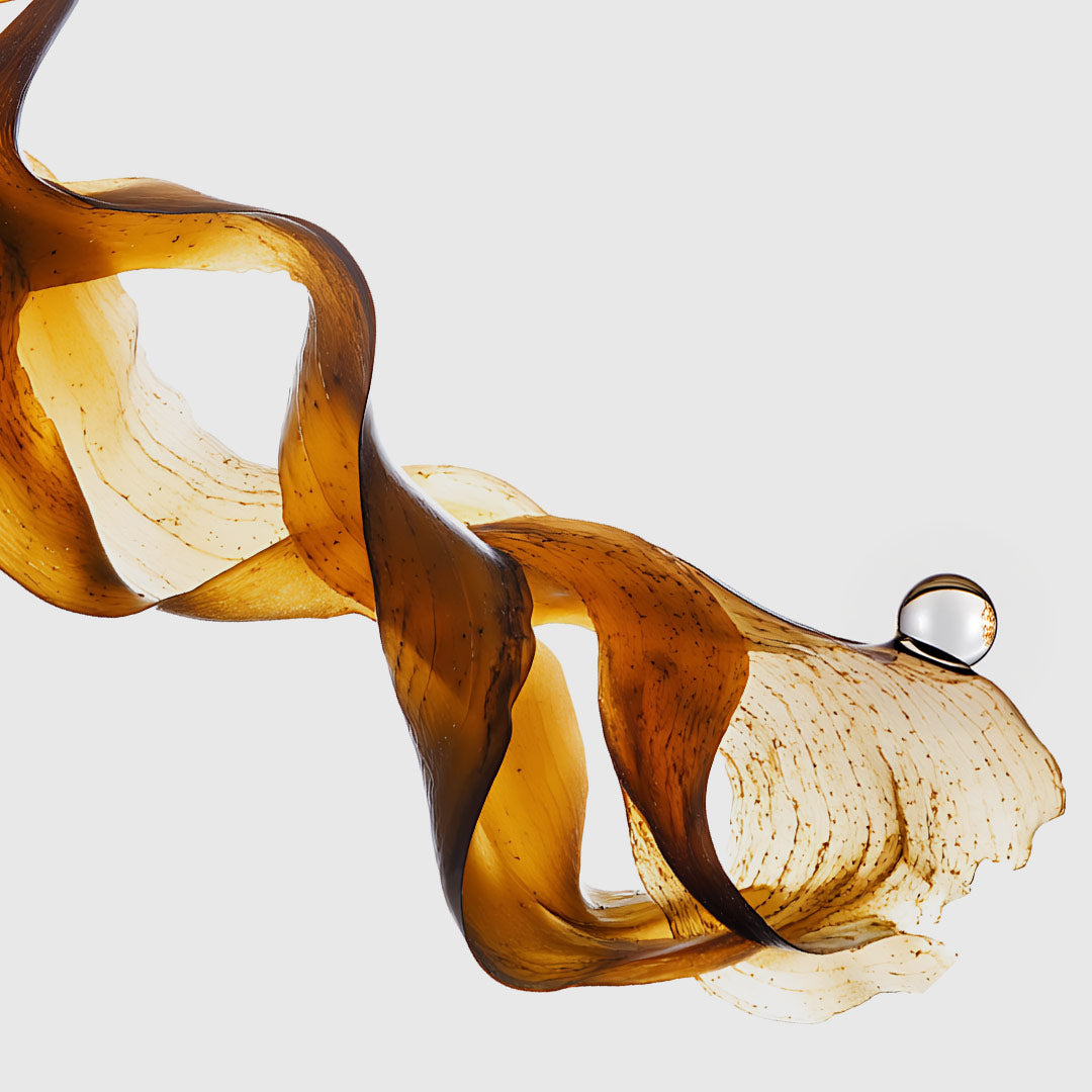 GOLDEN SEAWEED EXTRACT