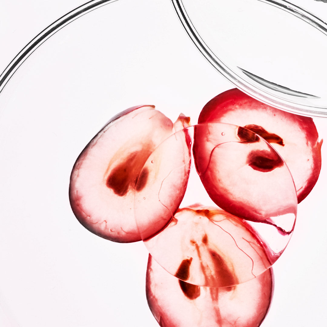 GRAPE SEED EXTRACT