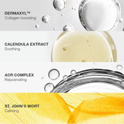 Cellular Anti-Aging Cream