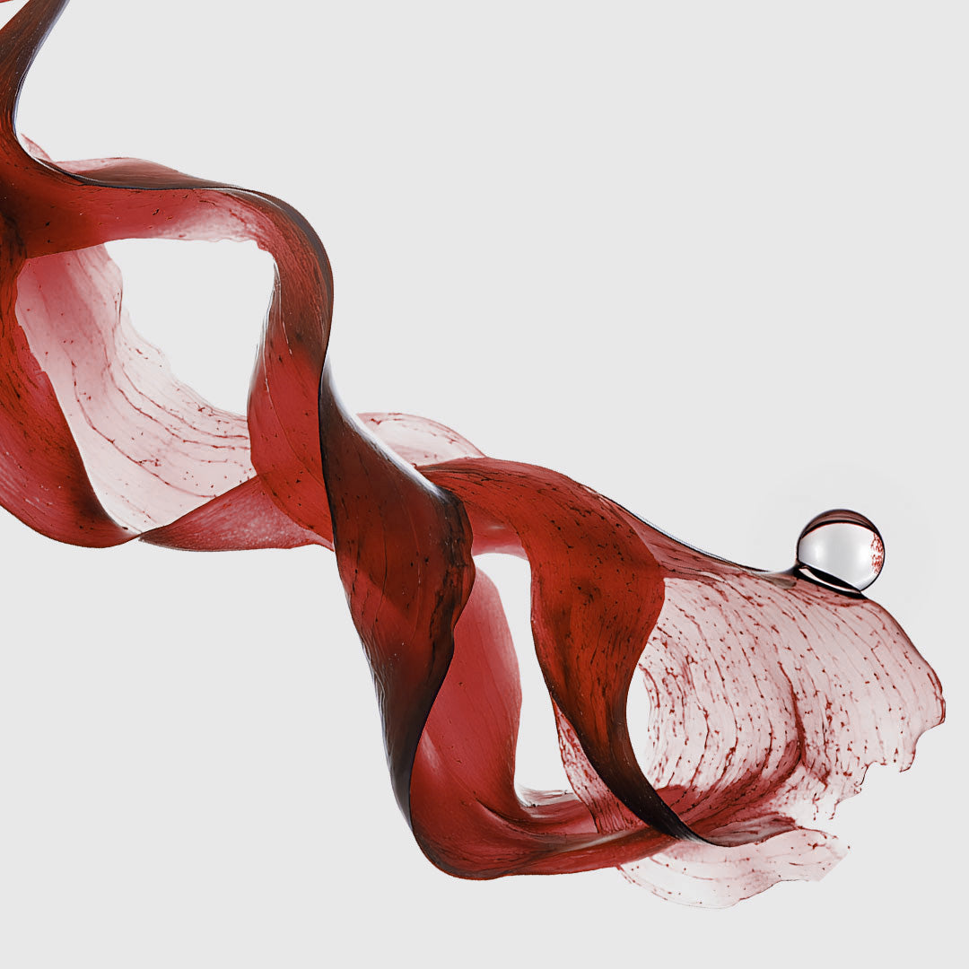 RED ALGAE