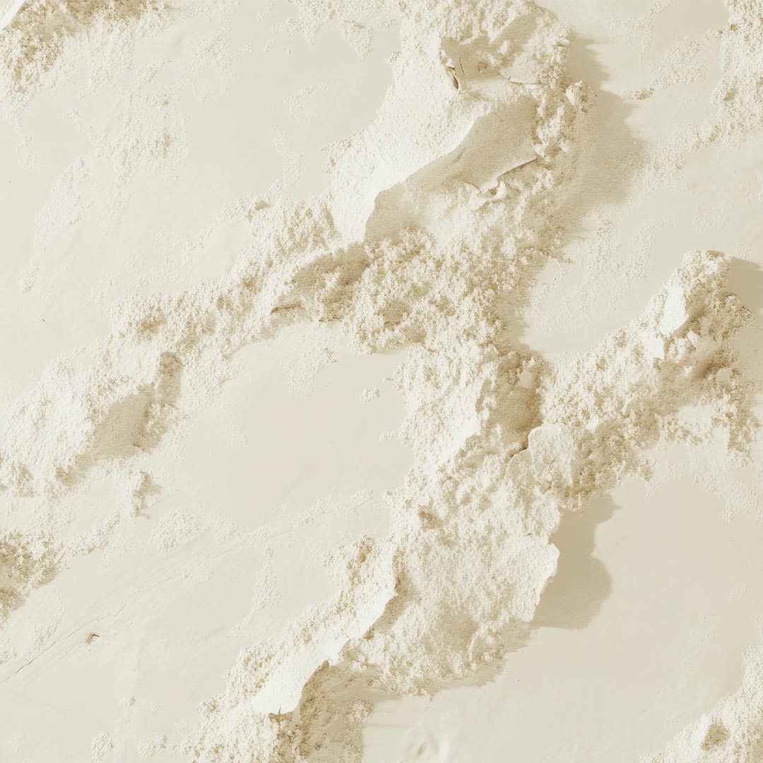 RICE STARCH