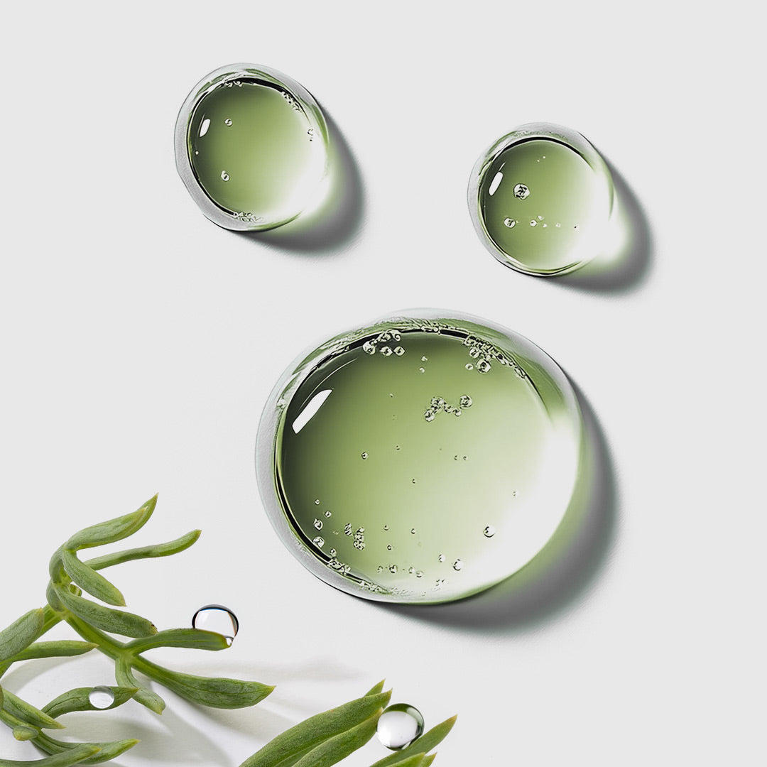 SEA FENNEL EXTRACT