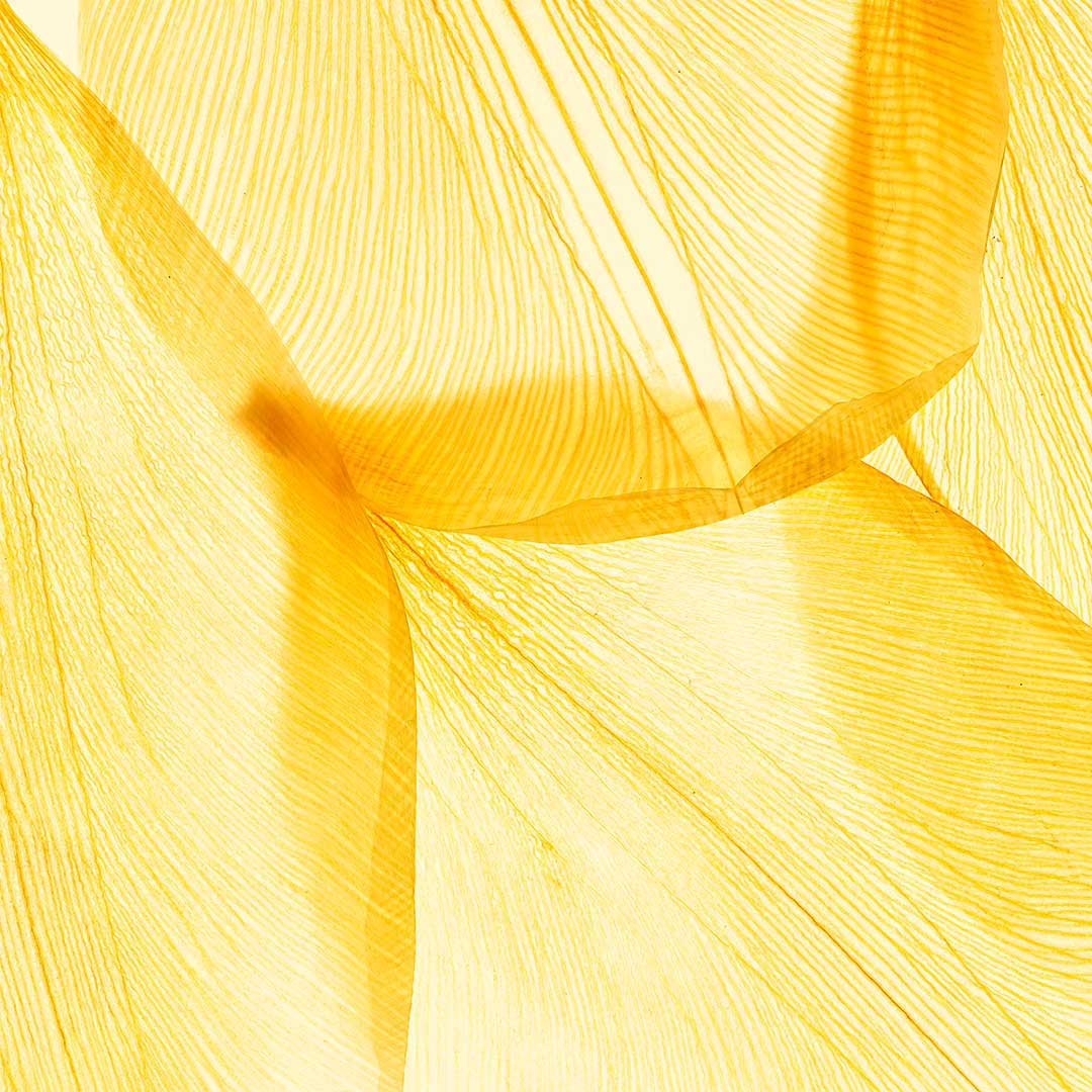 ST JOHN&#39;S WORT 