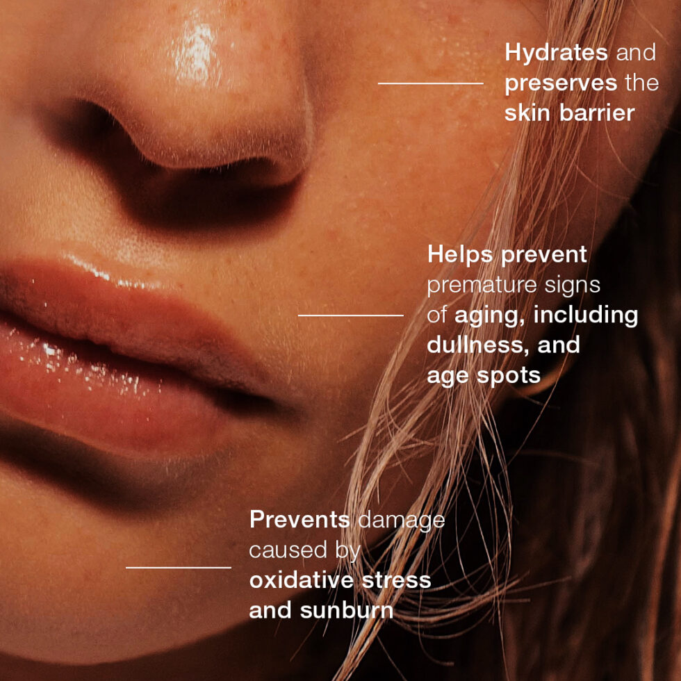 Sun Protection Trio - Image 3